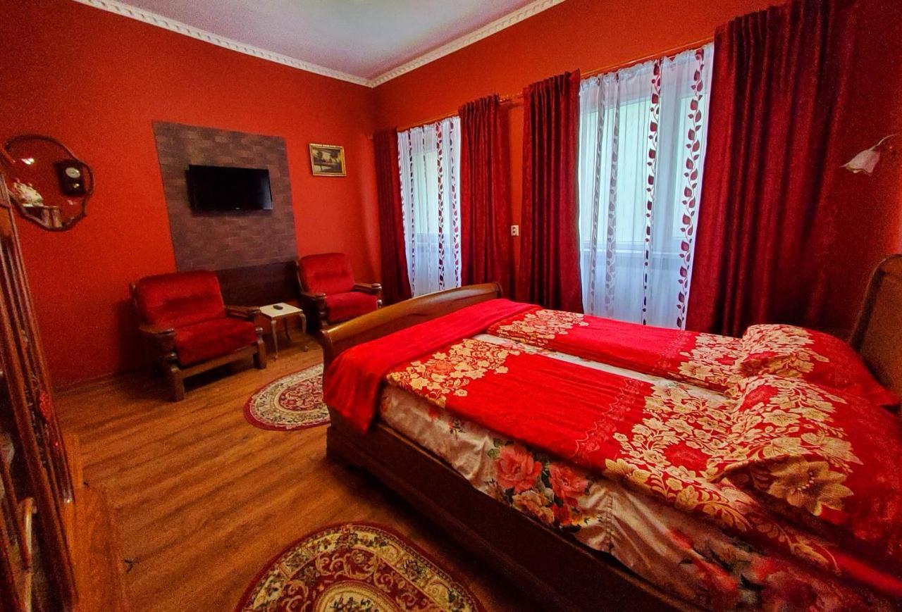 Sissy Vendeghaz Hotel Tîrgu Secuiesc Екстериор снимка
