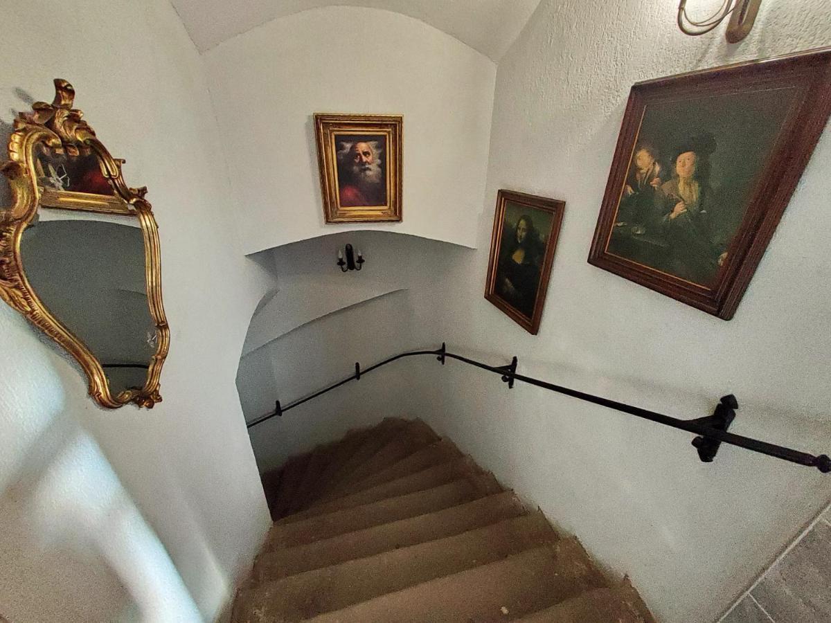 Sissy Vendeghaz Hotel Tîrgu Secuiesc Екстериор снимка
