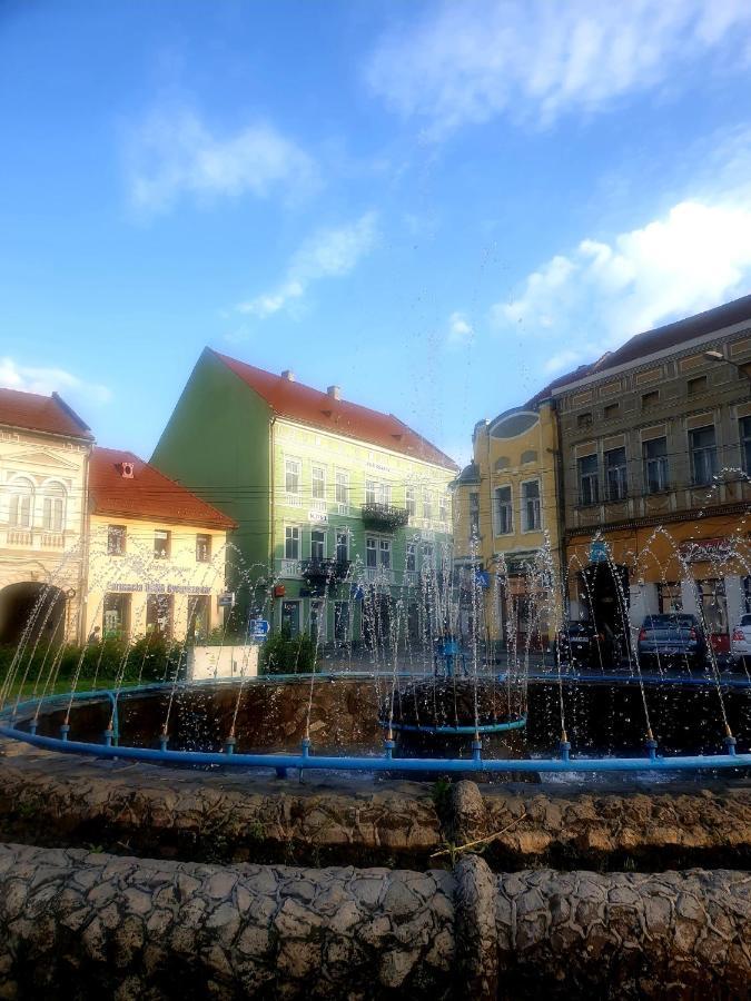 Sissy Vendeghaz Hotel Tîrgu Secuiesc Екстериор снимка